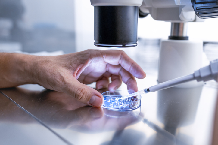 Photo shows a doctor preparing embryo cultivation plates/Getty Images